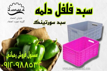Sweet pepper carrying basket/refrigerated basket/grade 2 basket