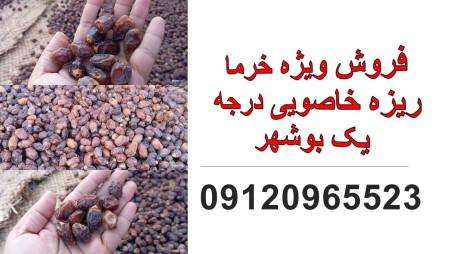 Bushehr first grade Khasavi small dates for sale