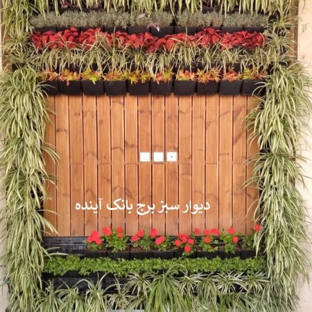 Natural and artificial green wall