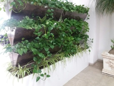 Natural and artificial green wall