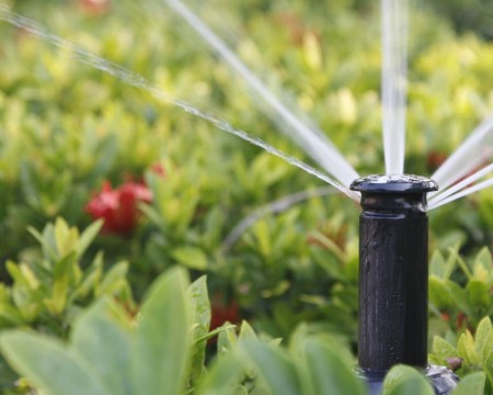 Consultation, design and implementation of pressure irrigation systems