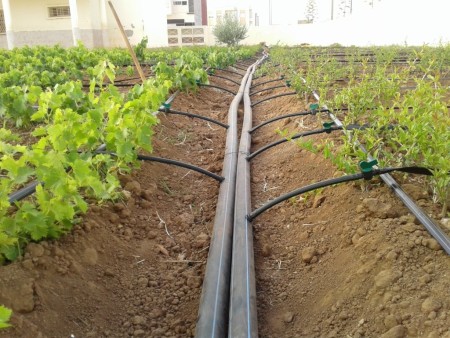Consultation, design and implementation of pressure irrigation systems