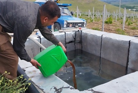 Wood vinegar, liquid smoke, acetic acid