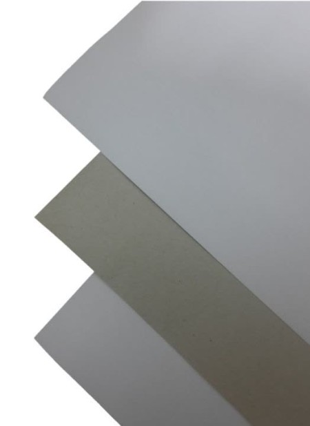 مقوای پشت طوسی