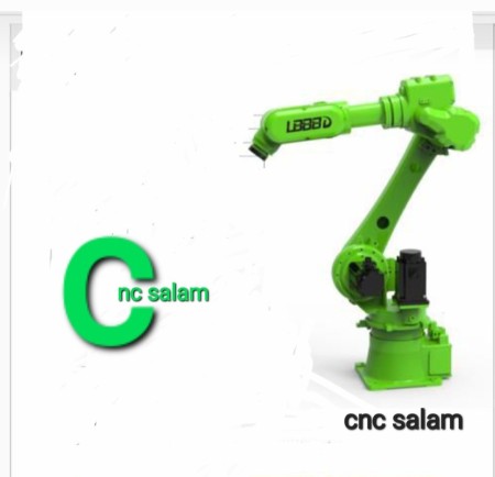 Paint spraying robot