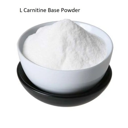 L-carnitine