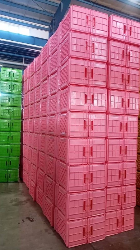 سبد فلفل دلمه ،سبد سورتینگ ،سبد گلخانه