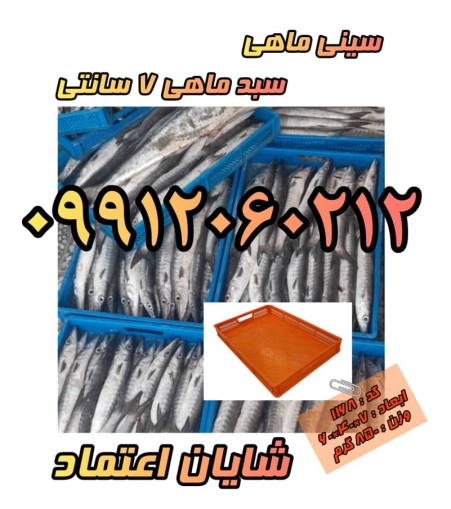 Fish tray, single row fish basket, 7cm basket