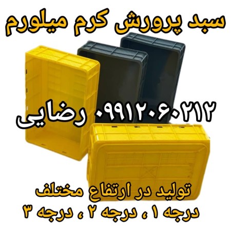 Production and sale of Milorum cream basket in bulk