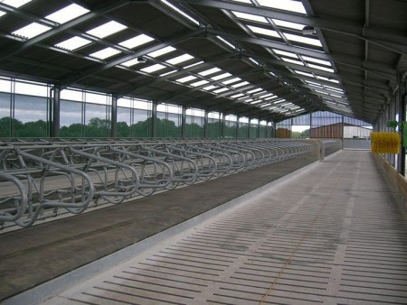 Steel structures in livestock industry