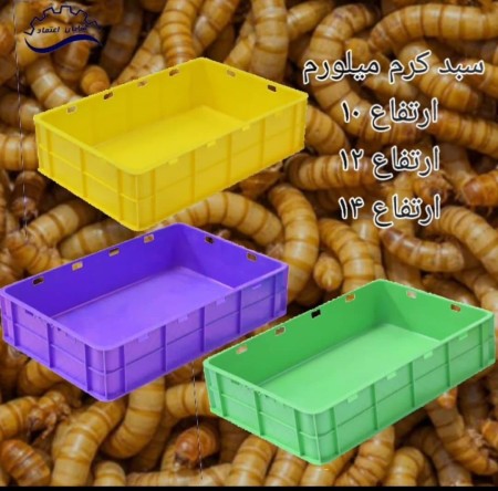 Melorum cream basket, short height basket