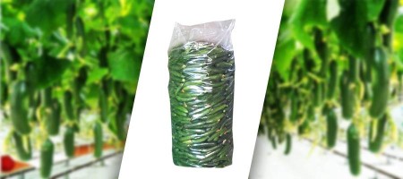 Cucumber nylon producer in Isfahan