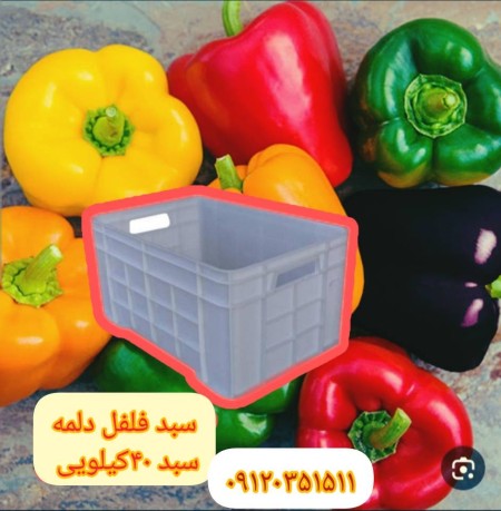 تولید سبد فلفل دلمه ،فروش سبد فلفل دلمه