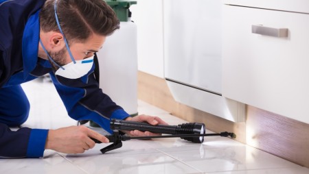 Specialized pest control and fighting company