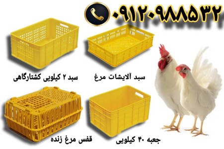 The price of chicken transport basket, slaughterhouse basket, industrial plastic basket