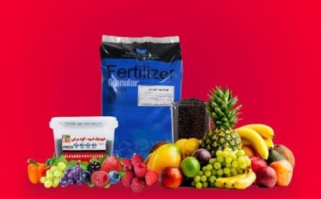 Granular fertilizers with reasonable price and excellent quality available to you