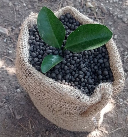 Sale of Granular Humic Acid Installment