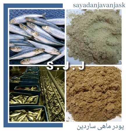 Fish powder