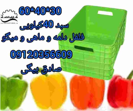 Pepper Basket, Pepper Swirts Basket, Pepper Export Basket