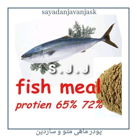 Washed fish powder, buying and selling waste fish powder