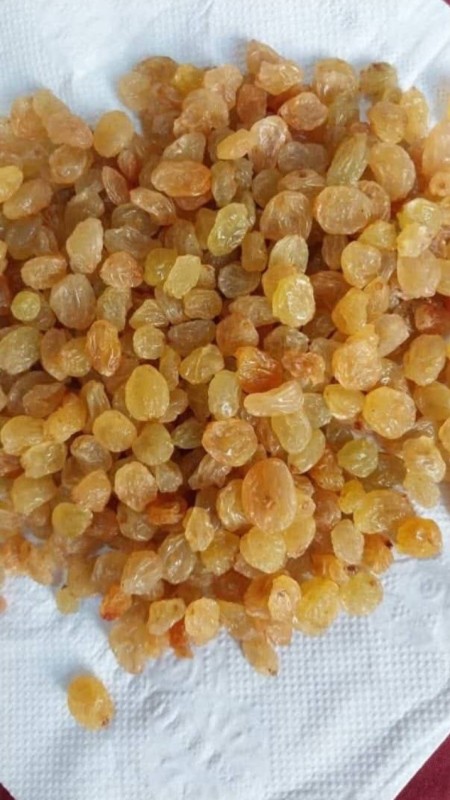 Supply and sell all kinds of Malayer raisins