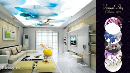 Double -walled doors and windows and interior decoration