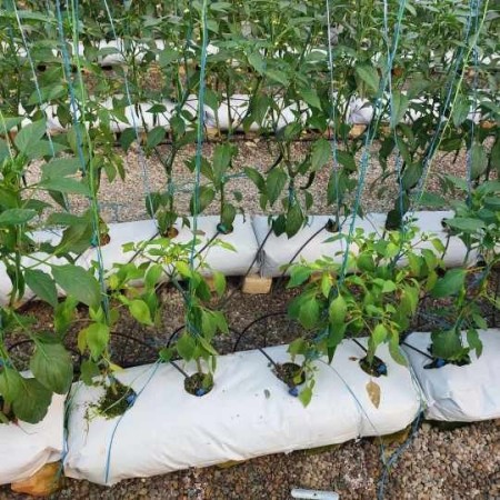 Agriculture nylon, cultivated bag, greenhouse nylon