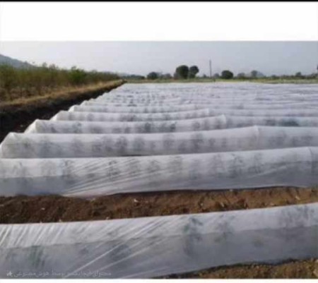 Anti -frost cover of agricultural products