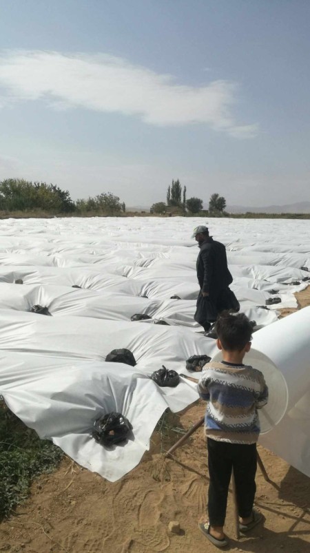 Anti -frost cover of agricultural products