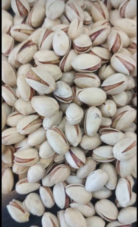High quality Iranian pistachio