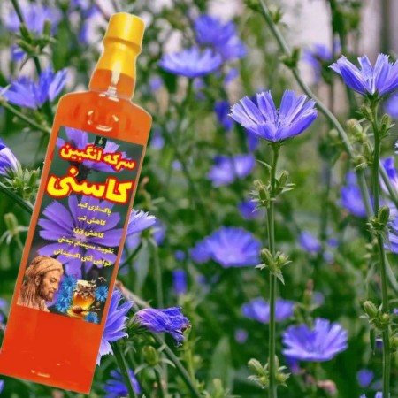 سرکه انگبین کاسنی یک لیتری بسته بندی کارتن 12عددی