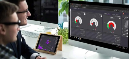 Business Intelligence Software (BI)