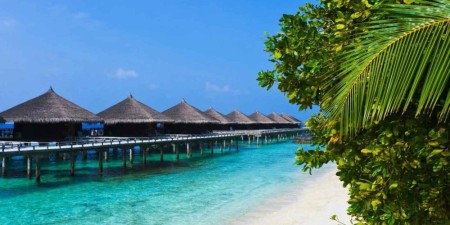 Guy Tour Indian Paradise Special for Nowruz 1404