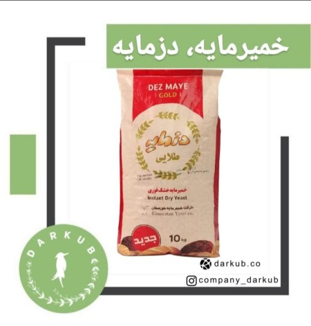 Official representative