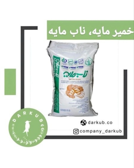 Official representative