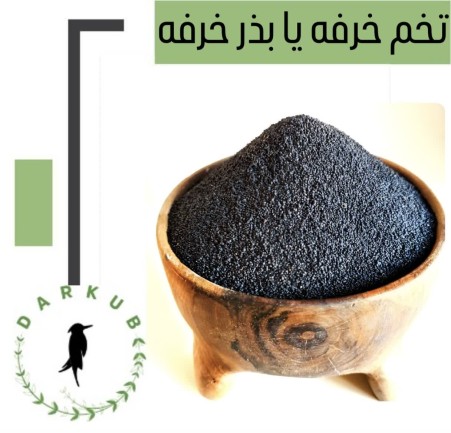 Wholesale Blacksmiths and Purslance Eggs with the best quality