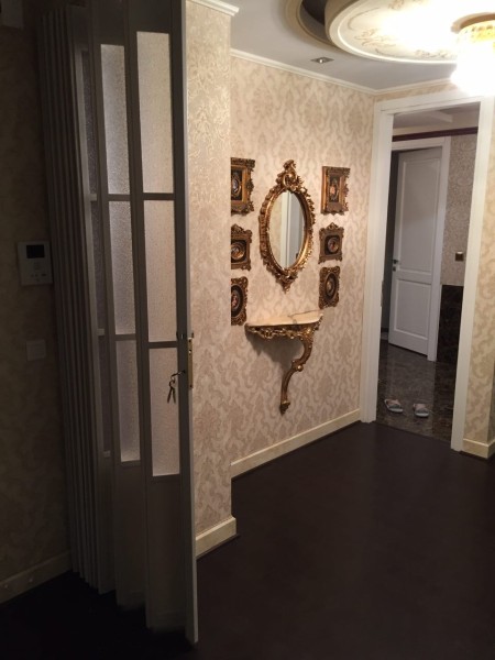 The accordion wardrobe door