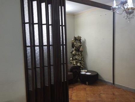 Removable leather partition