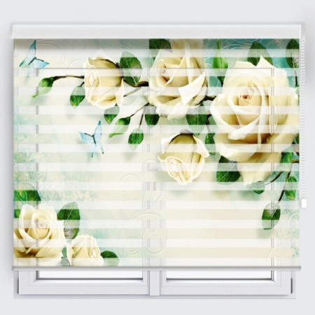 Types of zebra curtain and simple single and two mechanized