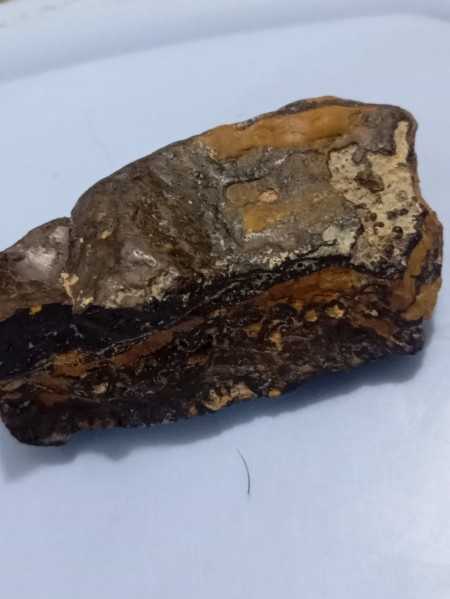 Meteorite