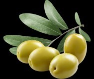 روغن زیتون فرابکر فدک