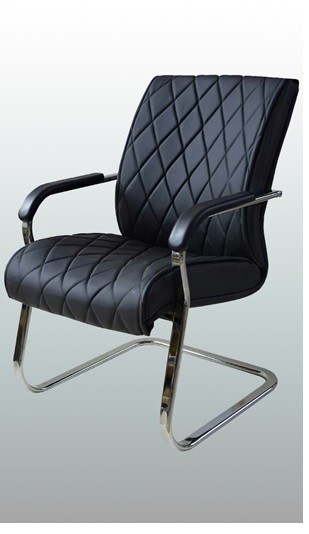 Professional Choice for Conference Meetings