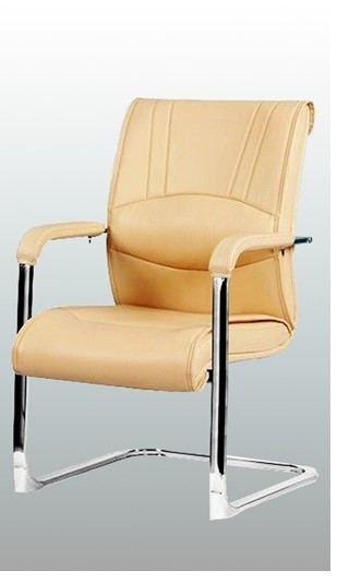 Professional Choice for Conference Meetings