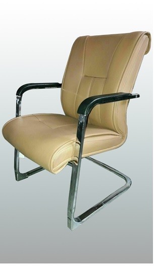 Professional Choice for Conference Meetings