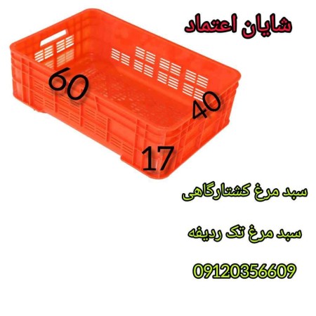 سبد مرغ،سبد کشتارگاهی، سبد بسته بندی مرغ