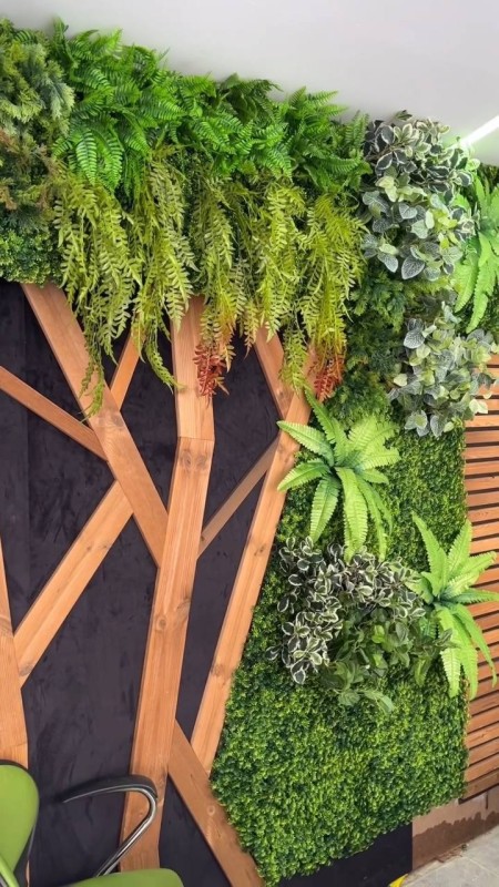 گرین وال استوایی (دیوار سبز)