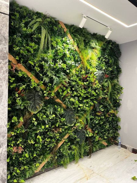 گرین وال استوایی (دیوار سبز)