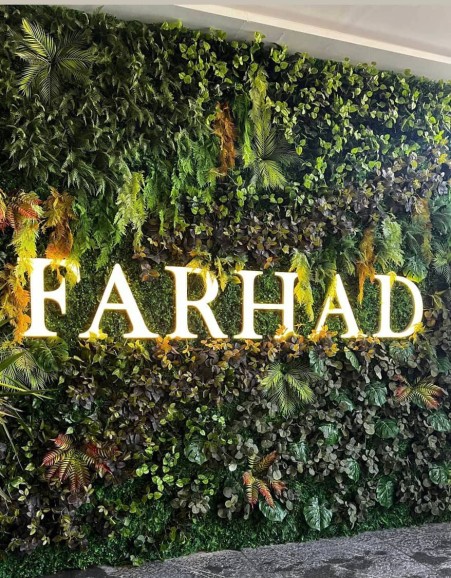 گرین وال استوایی (دیوار سبز)