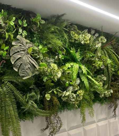 گرین وال استوایی (دیوار سبز)