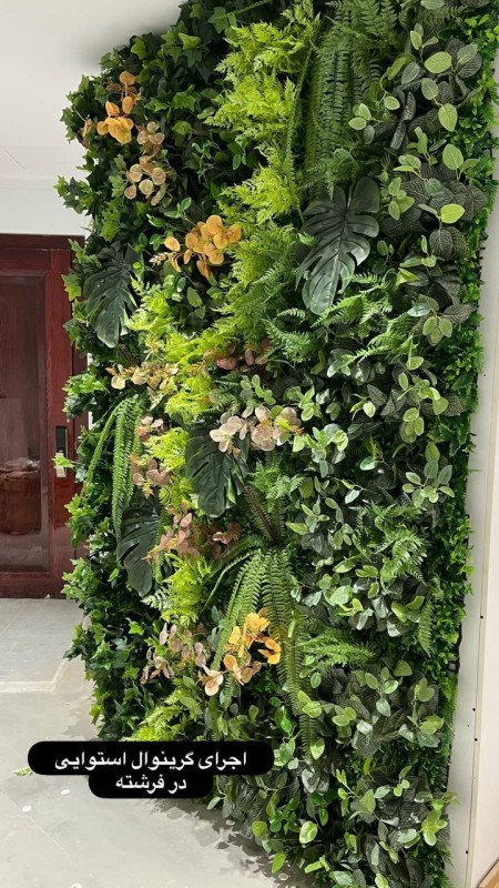 گرین وال استوایی (دیوار سبز)